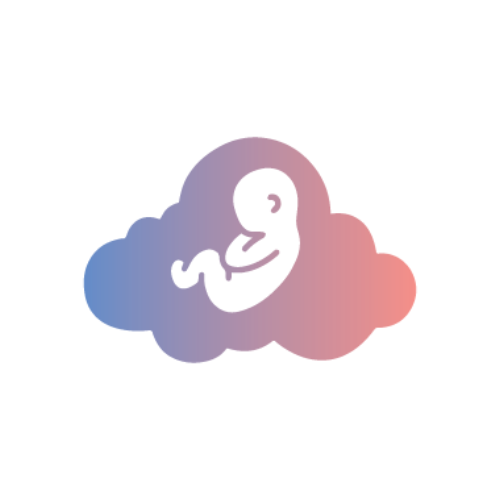 Creator Profile