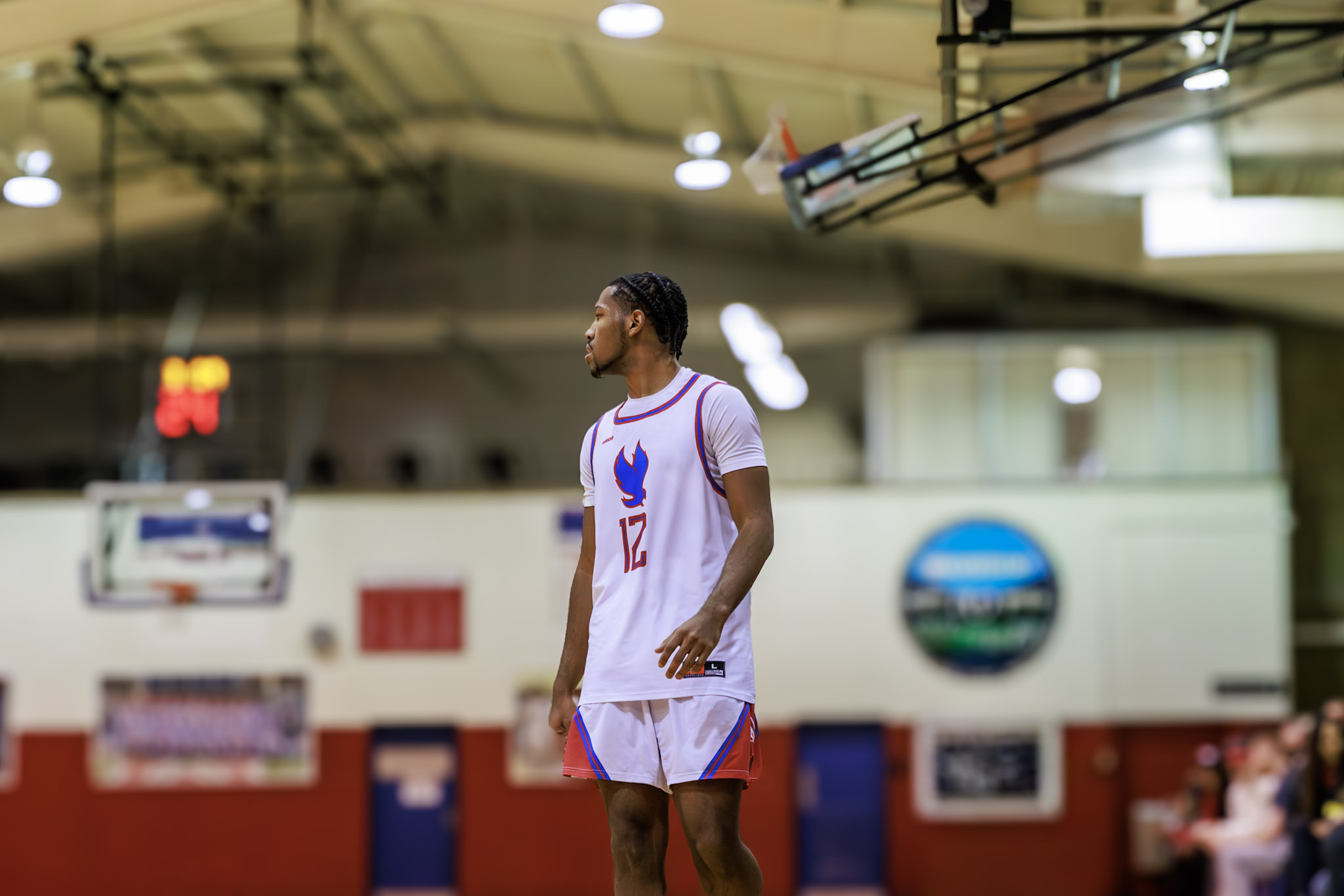Jakari