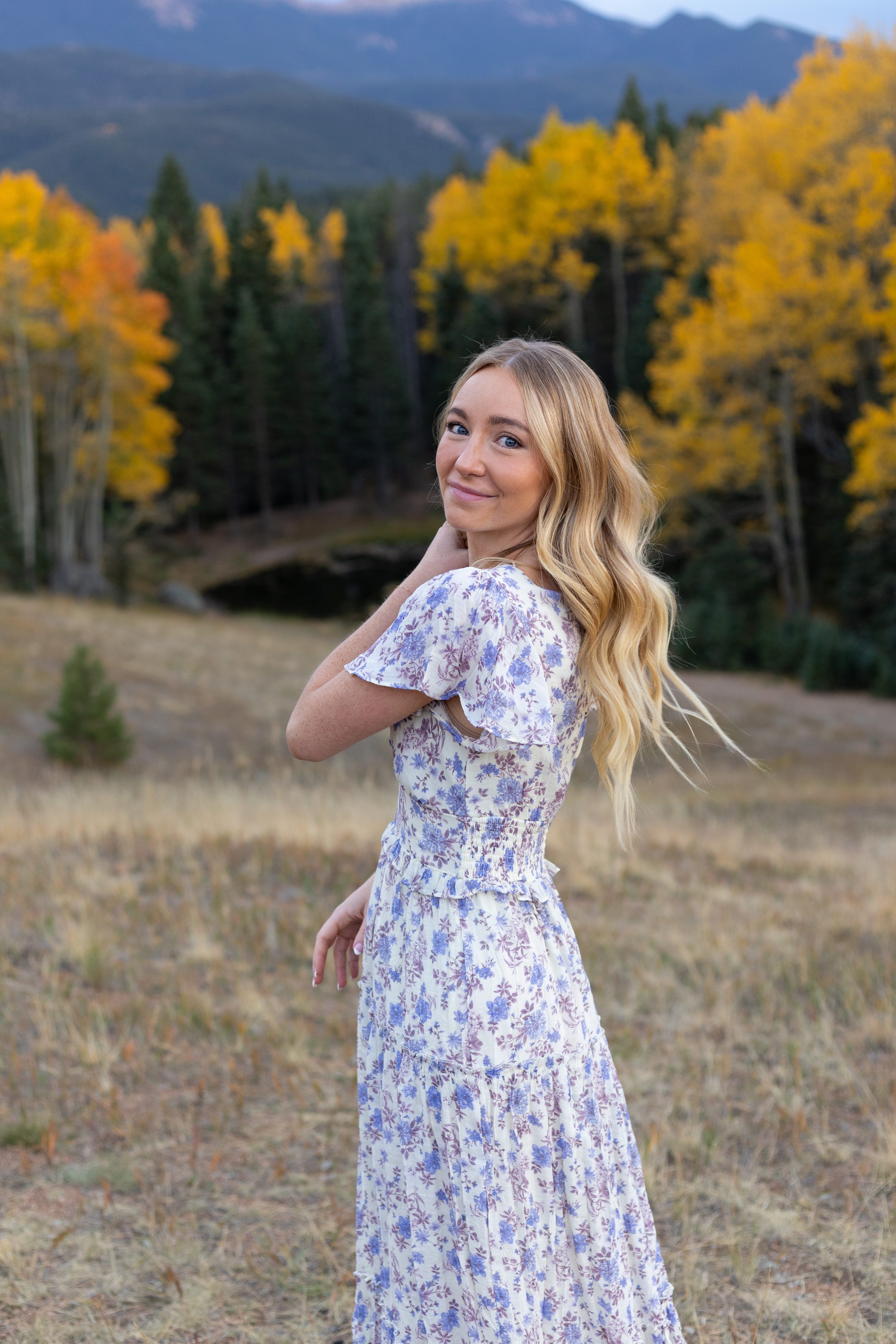 Creator Profile