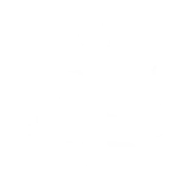 Creator Profile