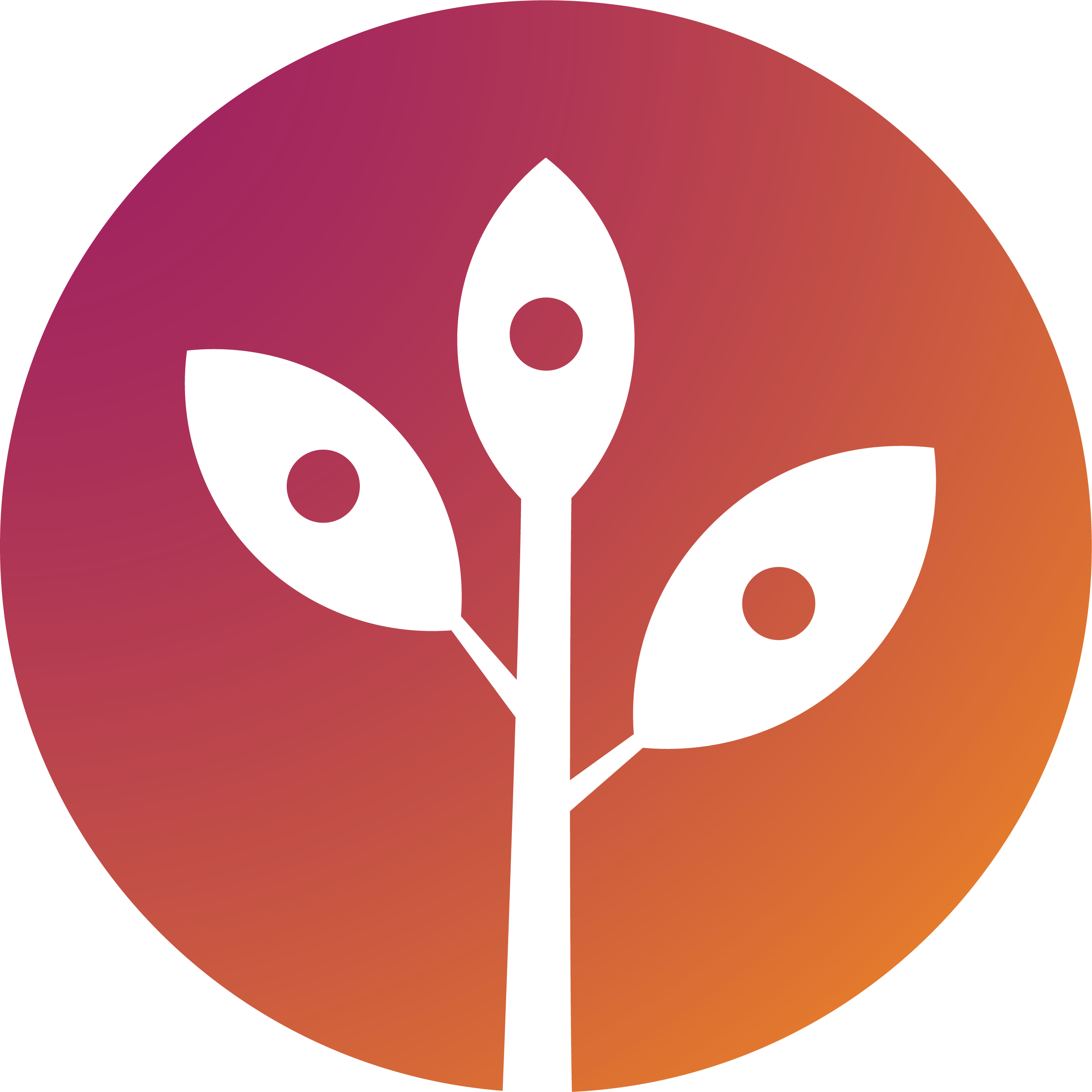 Creator Profile
